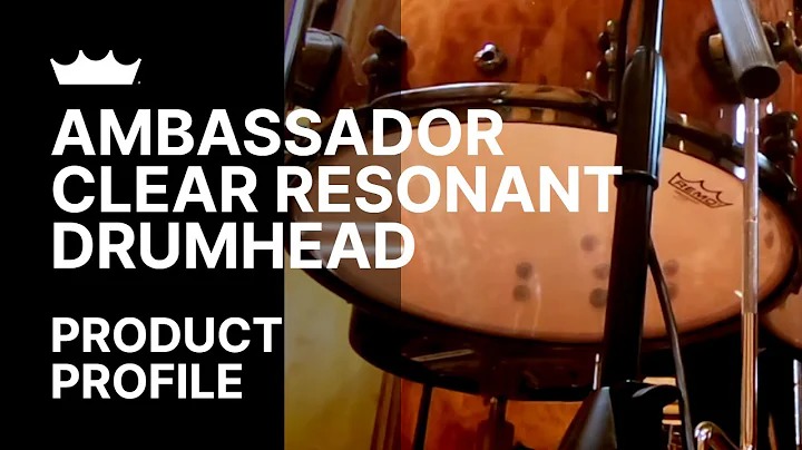 Remo: Ambassador Clear Resonant Drumhead