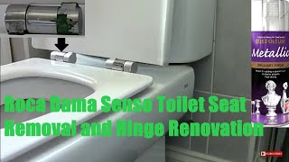 Roca Dama Senso Toilet Seat Removal Hinge Restore