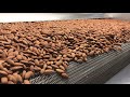 Almond Roasting - Badem Kavurma