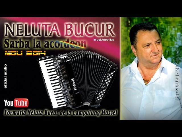 NELUTA BUCUR . Sarba la acordeon [1] (live audio) class=