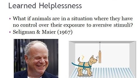 PSYC 370 Video Lecture - Learned Helplessness