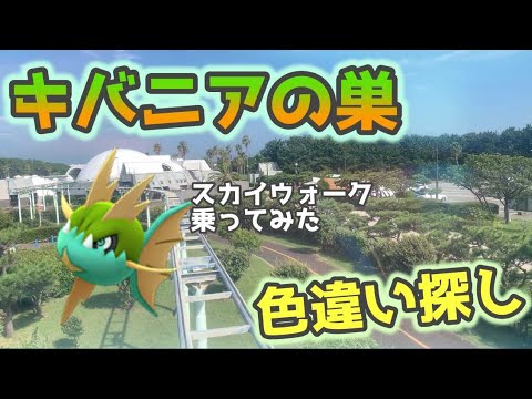 ポケモンgo キバニアの巣 辻堂海浜公園 空中散歩が気持ち良くて怖い 神奈川県 Youtube