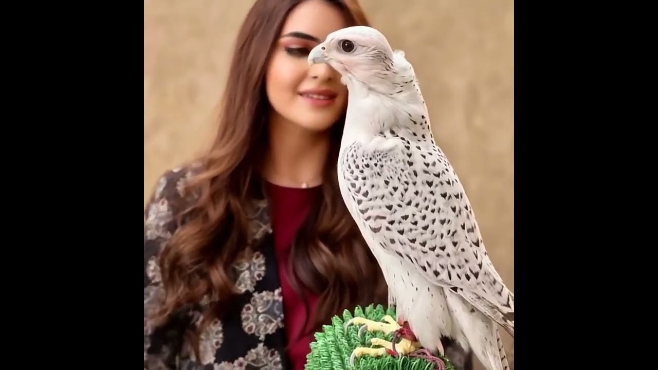 Dubai princess sheikha mahra eagle love 