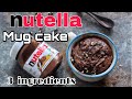 3 ingredient Nutella mug cake | Easy dessert recipe for lockdown