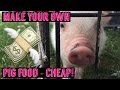 Mini Pig / Pot Belly Pig make your food - Save Money! DIY Potbellied pig
