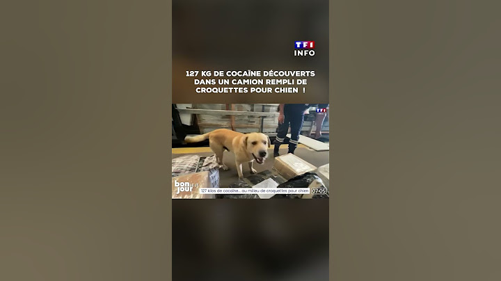 Var : 127 kilos de coca*ne cachés au milieu de croquettes pour chien, un chauffeur-routier condamné