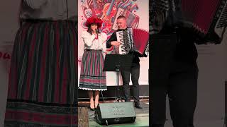 Jeśli podoba ci się filmik zachęcam do polubienia #muzykaludowa #shortsviral #folkmusic