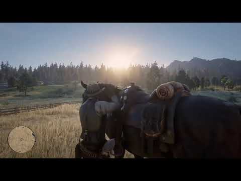 Red Dead Redemption 2 | R3600 | GTX 1660 | Live stream 2020-05-14