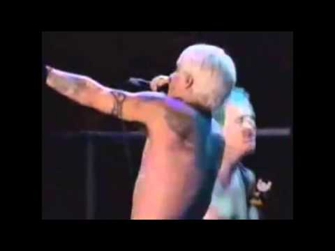 Red Hot Chili Peppers - a Fan Goes on Stage LIVE [Woodstock 99']