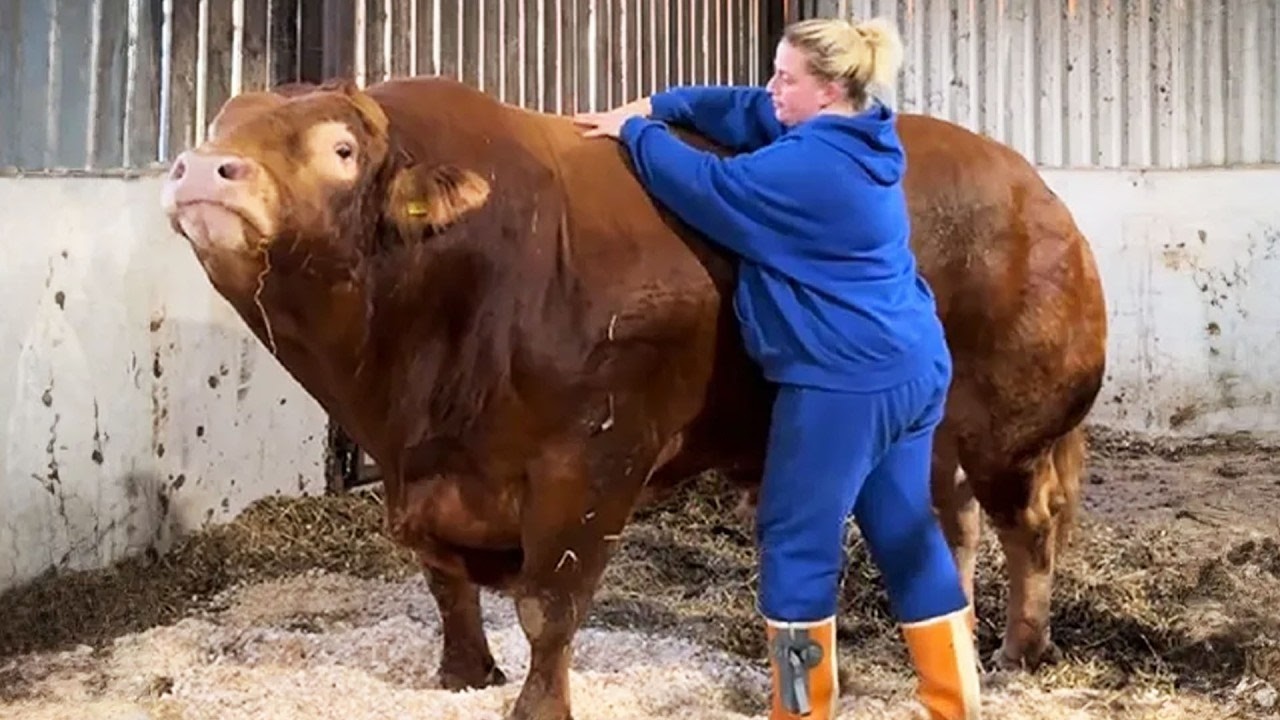 These Animals Will Cure Your Depression ❤️ Heartwarming Moments 2025