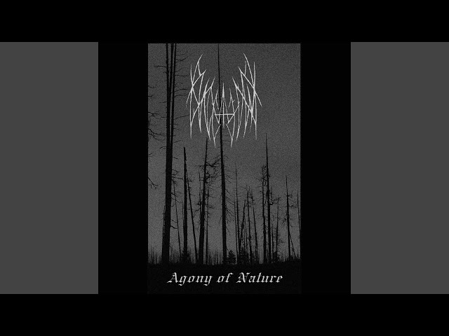 The Last Breath of the Dying Forest III