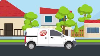 C Four Paws - Pet Transport Explainer