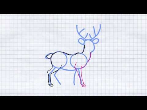 How to draw a deer / Как нарисовать оленя