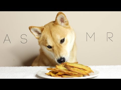 Dog Chewing On Sweet Potato Fries Asmr Youtube