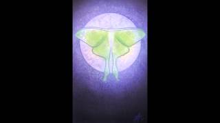 Actias @Fernito