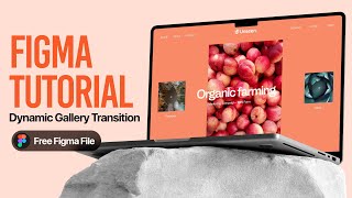Dynamic Gallery Transition in FIgma Tutorial