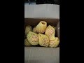 This year I don't like to buy fruits