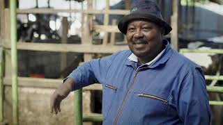 Key Interventions in the Kenyan Dairy Value Chain | 2SCALE Approach