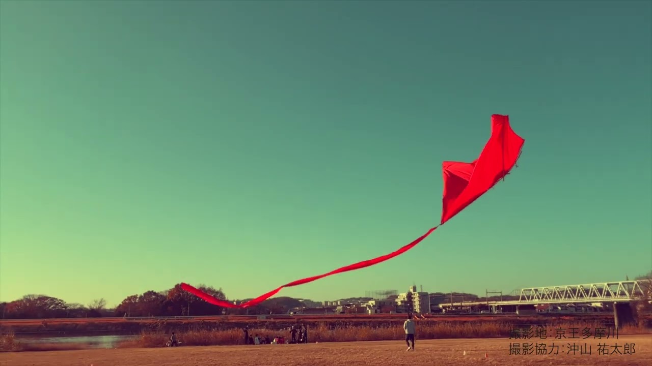 奥澤 諒 《テンセグリティ凧》 | 多摩美術大学