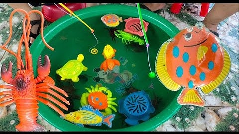 Binbotv chơi câu được con cua, con cá, con tôm ,con rùa  màu sắc. part 28