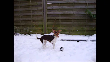 Miss Daisy met smurfenliedje Fifi