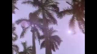 Download Lagu Corrupción en Miami - Intro MP3