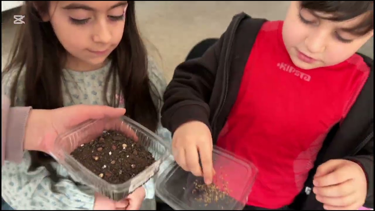 Ծաղիկների սերմնացան