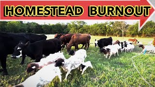 HOW I FIXED MY HOMESTEAD BURNOUT | 2023 Homestead Sheep Farming Cattle Ranching for Profit by the Shepherdess 67,843 views 6 months ago 6 minutes, 45 seconds