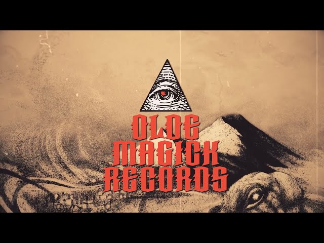 Bird - The Suzy Night Tale