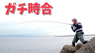 最近忙しいから、釣りに行けないので、釣り具が出品をします。良ければご検討宜しくお願いします。 If I don't catch anything at this time, I'm in trouble. - YouTube
