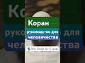 Коран — руководство для человечества. #ислам #сунна