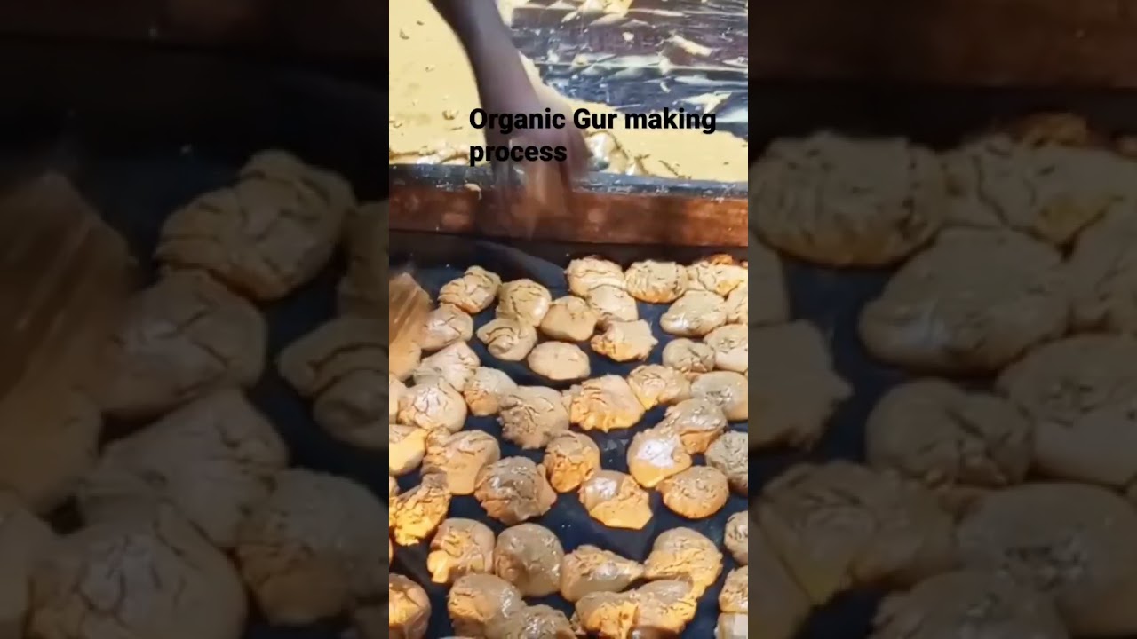 Organic Gur making process from fresh Sugarcane 