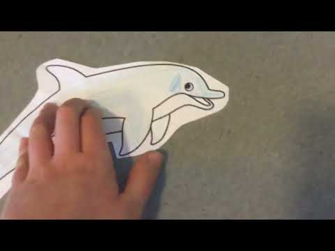 Coloring pals:the crab