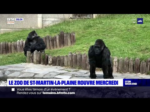 Le zoo de Saint-Martin-la-Plaine rouvre mercredi