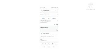 Google Translate Love Levie In Attack On An