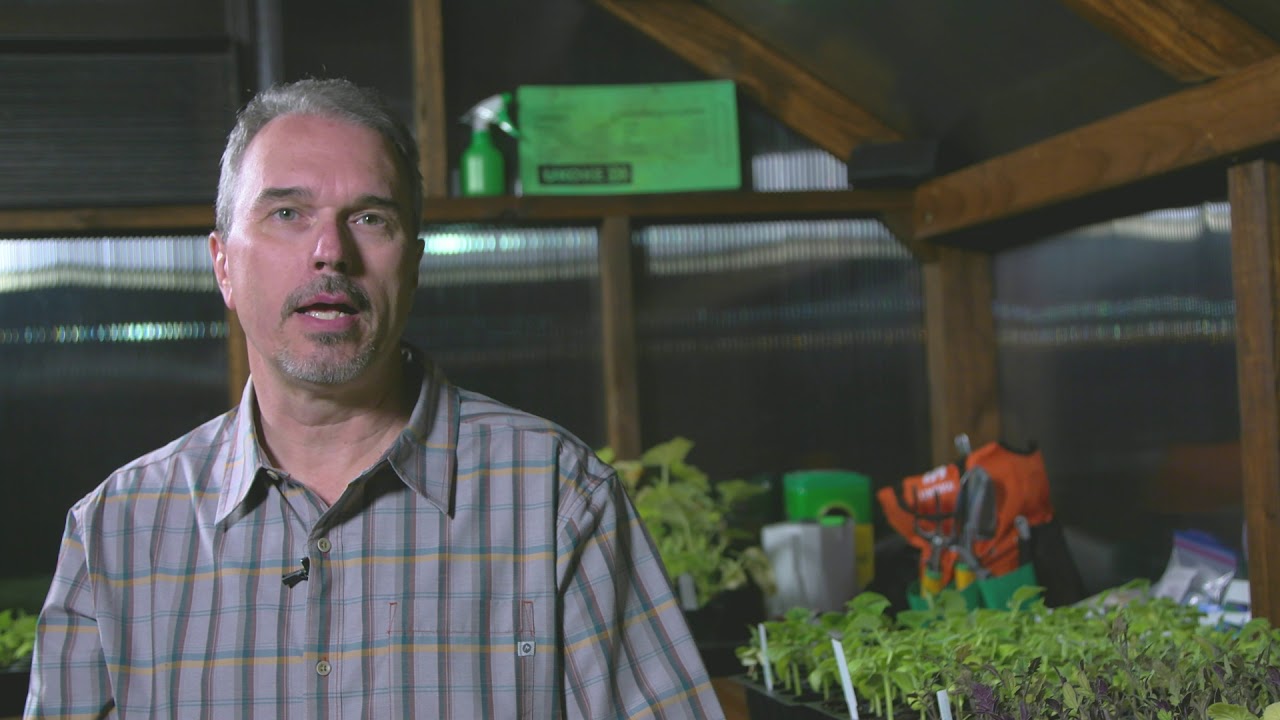 Beautiful Yoderbilt Greenhouses - YouTube