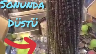 BÜYÜK  BOZUK PARA BALYASI SONUNDA  DÜŞTÜ (BOZUK PARA DÜŞÜRME MAKİNESİ) KGAK