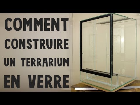 Comment construire un terrarium en verre ? 