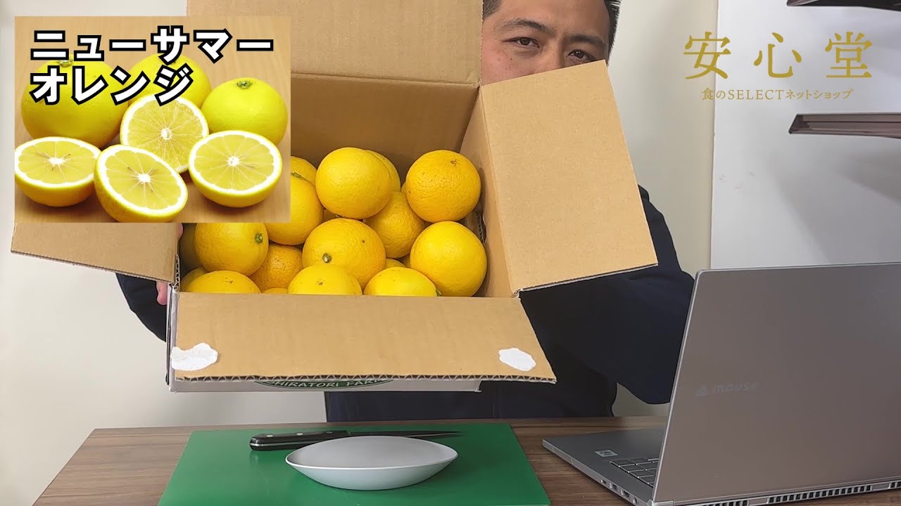 安心堂】白鳥農園ニューサマーオレンジを実食！東伊豆の名産品。甘くて