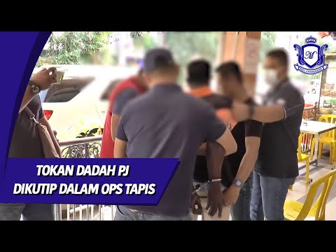 Video: Kumpulan haiwan yang disumbat dari berus paip