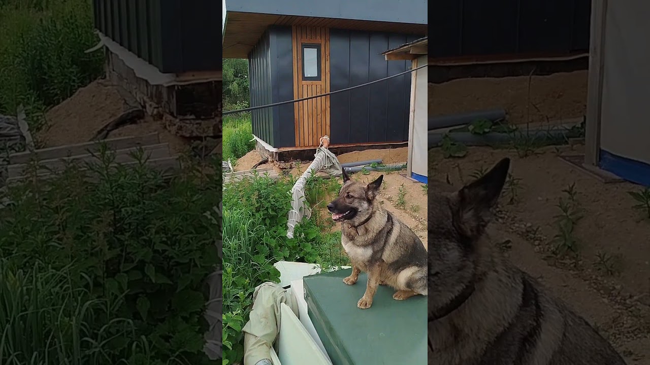 BarnHouse + A-frame / 08.06.2025