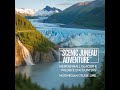 Scenic Juneau Adventure: Mendenhall Glacier & Porcupine Encounter on Norwegian Encore Cruise