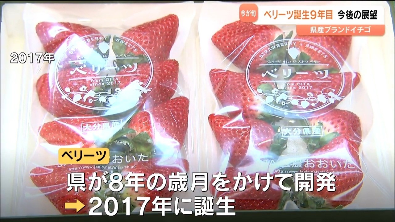 大分県産イチゴ「ベリーツ」出荷額7億6000万円まで急成長　躍進の舞台裏