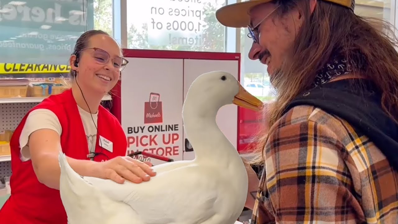 I took my duck to Michael’s (Arts & Crafts)