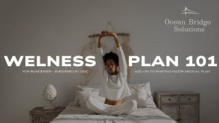 Wellness Plan Introduction