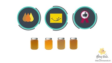 2D Animated Explainer Video