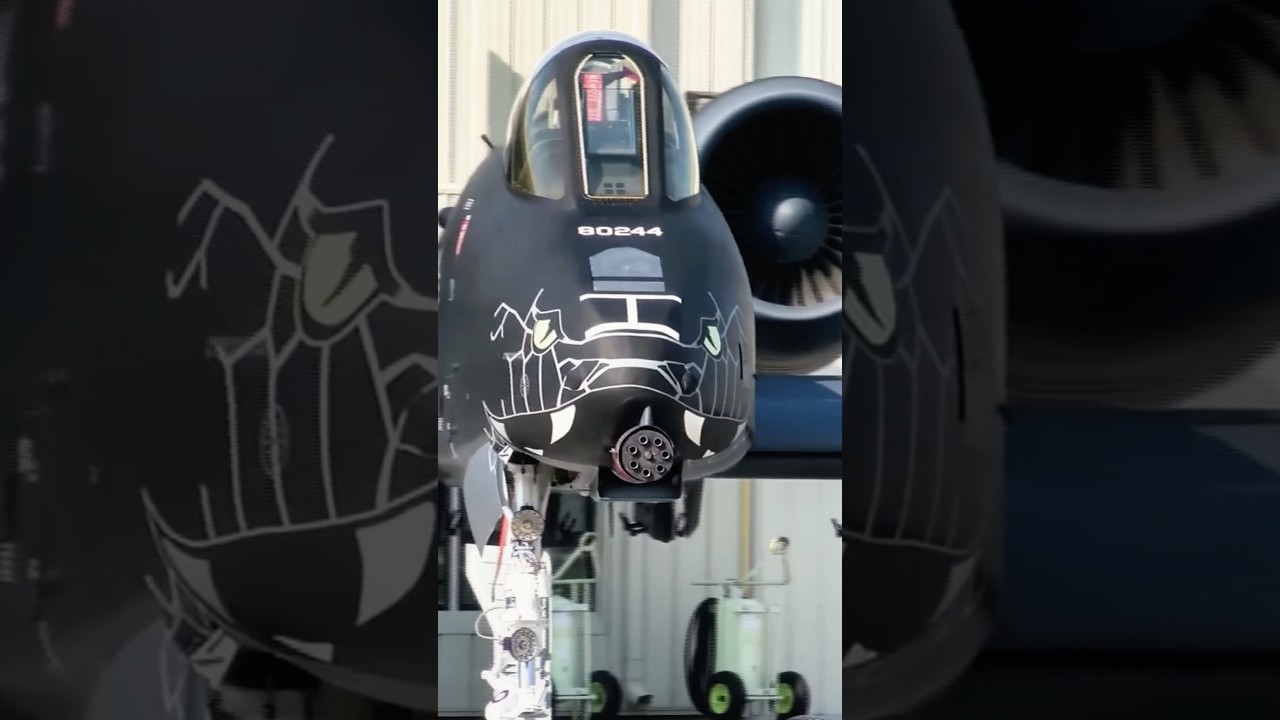 This Might Be the Best Looking A-10 Warthog Ever