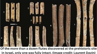12,000-year-old flutes carved of bone are some of the oldest in the world & sound like birds of prey