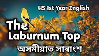 The Laburnum Top class 11/HS 1st Year Summary in Assamese | The Laburnum Top poem's Assamese Summary