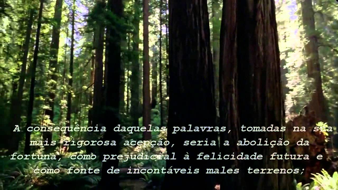 Utilidade Providencial Da Fortuna Mensagem YouTube utilidade-providencial-da-fortuna-mensagem-youtube